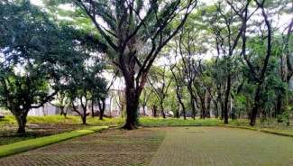 Bukit Baruga Mulai Dilirik sebagai Destinasi Wisata Kemah Seni