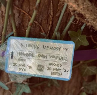 Pengganti Nisan, Ridwan Kamil Tulis Nama Eril di Pohon Tepi Sungai Aare