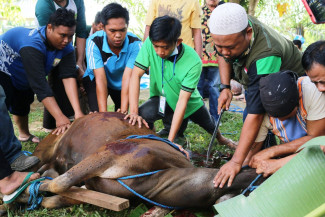 2 Perbedaan Pendapat soal Arisan Kurban, Ini Penjelasannya