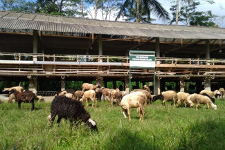 Tafsir Al Maidah Ayat 27: Allah Hanya Terima Kurban Orang yang Bertakwa