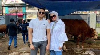 Banting Setir, Delia Septianti Lebih Cuan Bisnis Sapi Kurban