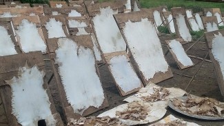 Hukum Jual Kulit Hewan Kurban, Ini Penjelasan Buya Yahya