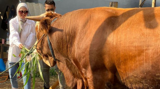 Berkurban Diharap Bisa Ubah Perilaku Seorang Muslim Lebih Baik