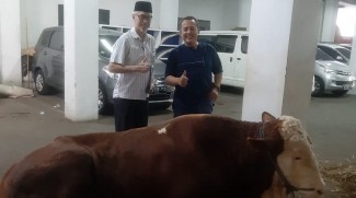Wapres Kirimkan Sapi untuk MUI, Panitia Kurban: Terima Kasih
