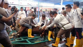 Cara Canggih Masjid Jogokariyan Sembelih 51 Sapi dan 37 Kambing dalam 4 Jam