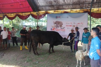 Bakrie Amanah Salurkan 397 Hewan Kurban ke 16 Provinsi