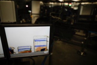 Penuh Zamzam Kemasan, 297 Bagasi Jemaah Haji Indonesia Kembali ke Hotel