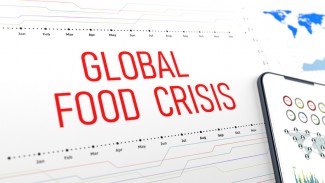 IDEAS: Krisis Pangan Bayangi Indonesia, Pemerintah Jangan Bergantung Impor Pasar Global