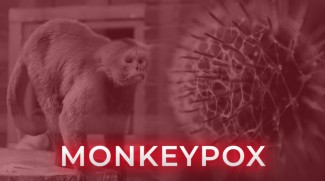 WHO Tetapkan Wabah Cacar Monyet sebagai Darurat Kesehatan Global