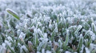 Dieng Membeku, Begini Proses Terbentuknya Embun Es