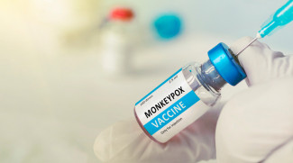 Wabah Cacar Monyet Bisa Dihentikan, Begini Solusi WHO