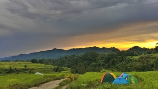 Taman Argowisata Pattiroang, Pusat Perkebunan Sayur-Sayuran di Sinjai