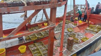 KKP Tangkap Dua Kapal Pelaku Illegal Fishing di Natuna Utara