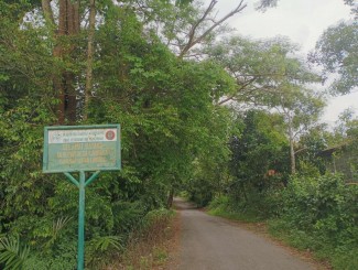 Mengenal Hutan Lindung Campaga, Hutan yang Dikelilingi Pedesaan