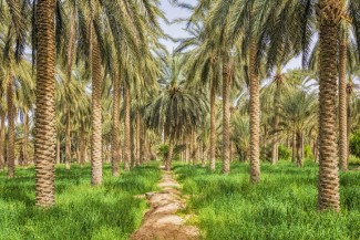 Tafsir Surat Al Isra Ayat 7: Teruslah Berbuat Baik