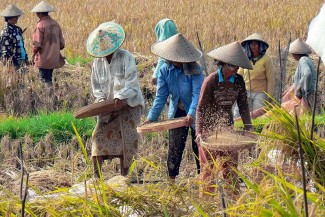 Mendag Ungkap Penyebab Harga Beras Mahal