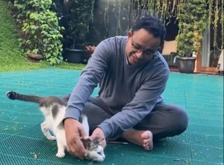Potret Anies Baswedan Bersama Lego, Kucing Peliharaan Berkaki Tiga