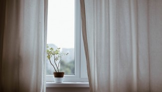 7 Tips Rawat Tanaman di Musim Hujan, Coba Masukkan ke Pot