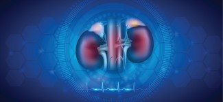 Kasus Gagal Ginjal Akut pada Anak Meningkat Jadi 152 Kasus