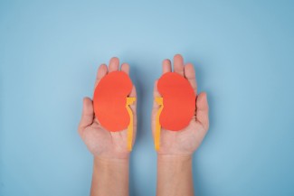 Gangguan Ginjal Akut Capai 206 Kasus, Tingkat Kematian 48 Persen