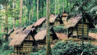 Berwisata Alam di Kampung Baduy, Sekaligus Belajar Kearifan Lokal