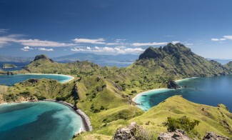 Perbanyak Bersyukur, Indonesia Negara Paling Kaya Flora-Fauna di Dunia