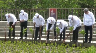 Diplomasi Mangrove Ala Presiden Jokowi di KTT G20