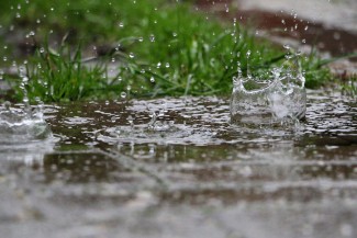 Tips Memanfaatkan Air Hujan untuk Cadangan di Musim Kemarau