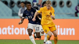 Belanda Diimbangi Ekuador 1-1, Tuan Rumah Qatar Tersingkir