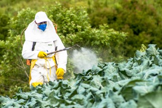 Waspada Pestisida di Sayuran dan Buah, Picu Kanker dan Penyakit Kronis