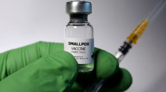Dinilai Rasis, WHO Ubah Nama Cacar Monyet Pakai MPOX