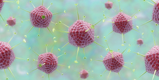 Virus Zombie Berusia 48.000 Tahun Ditemukan, Waspada Ancaman Baru