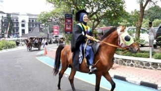 Wisudawati UMM Datang ke Acara Wisuda dengan Naik Kuda