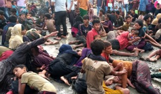 185 Pengungsi Rohingya Terdampar di Aceh, 20 Orang Meninggal di Laut