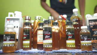Madu, Minuman Penyembuh yang Disebutkan Al Quran dan Hadis