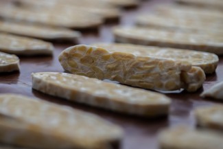 Harga Kedelai Melejit, Pengusaha Tempe Menjerit