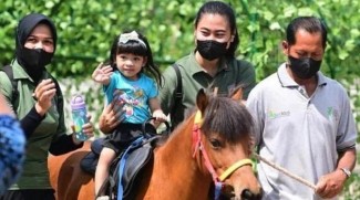 Solo Safari Diyakini akan menjadi Ikon Wisata Baru di Surakarta