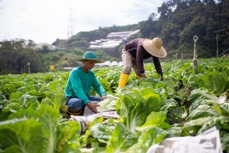Petani Penting Bagi Kehidupan, Sayangnya Masih Dipandang Rendah
