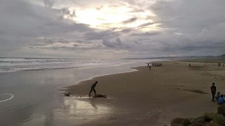 Keindahan Pantai Cipatujah, Spot Pantau Hilal Ramadhan di Jawa Barat