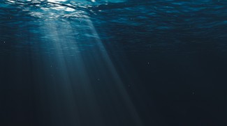 Peneliti Temukan Bakteri Baru di Laut, Perkuat Dugaan Adanya Kehidupan Alien