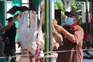 Ideas Ungkap Distribusi Kurban Belum Merata sampai Pelosok