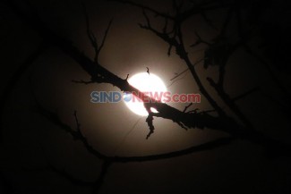 Fenomena Blue Moon dan Supermoon, Ini Penjelasan Lembaga Falakiyah PBNU