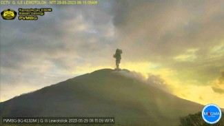 Gunung Ili Lewotolok Erupsi, PVMBG Imbau Gunakan Masker
