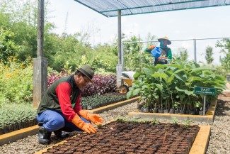 SIG dan Semen Padang Raih Subroto Award 2023 atas Inovasi di Lahan Reklamasi
