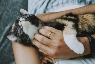 Selain Mood Booster, Merawat Hewan Punya Pengaruh Positif untuk Kesehatan