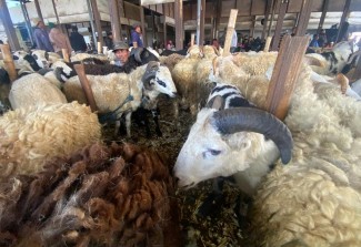 Landasan Perintah Kurban dalam Al Quran dan Hadis