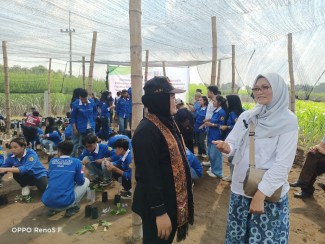 UWKS Raih Rekor Muri Berkat Sambung Bibit Durian Terbanyak se-Indonesia
