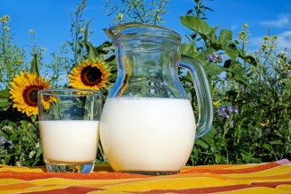Mengenal Titik Kritis pada Kumys, Minuman Susu Fermentasi
