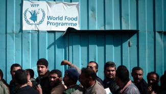 Krisis Kemanusiaan Memanas: WFP Terpaksa Hentikan Bantuan di Gaza