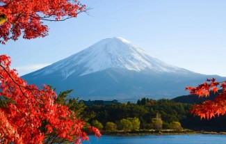 Yang Pengen Liburan ke Jepang, Waktu Terbaik ya November, Dijamin Semua Indah